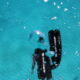Seafox Fins Blue Lifestyle Seafox Diving Fins