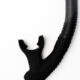 Snorkel Cayo Black Black (2)