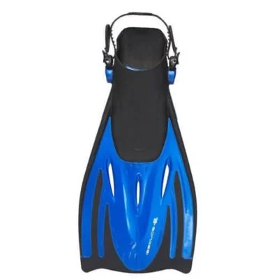 Aleta Whale azul