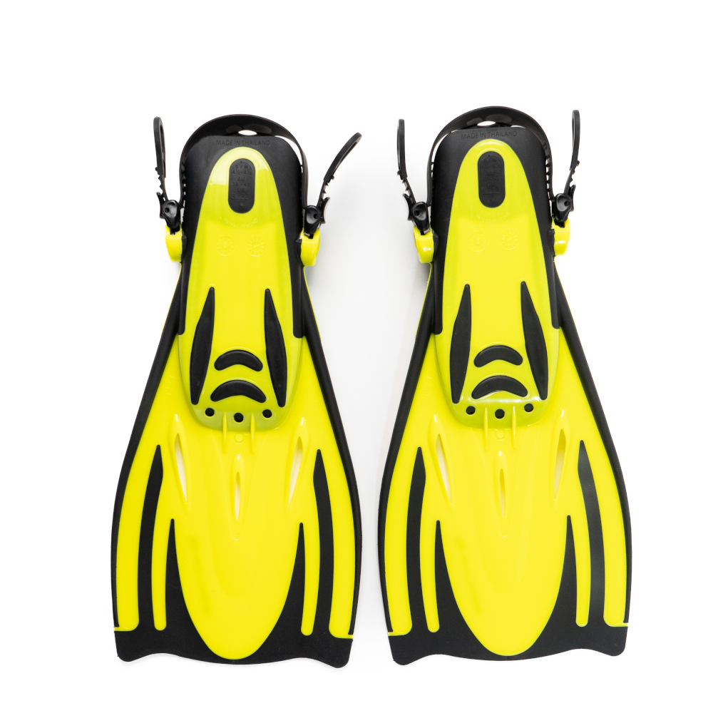 bonassi -Shark - Whale-12