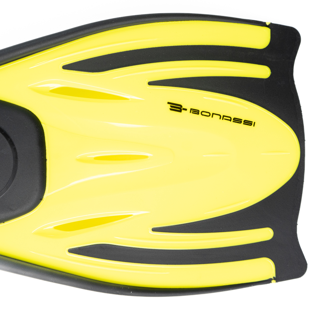 bonassi -Shark - Whale-7