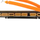 bungee seabass Speargun Bungee