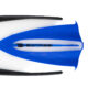 Anthias Fins (1)