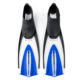 Anthias Fins (3)
