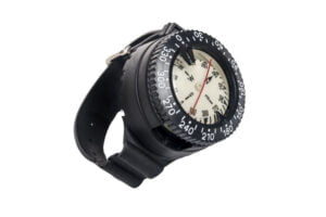 Compass Pro
