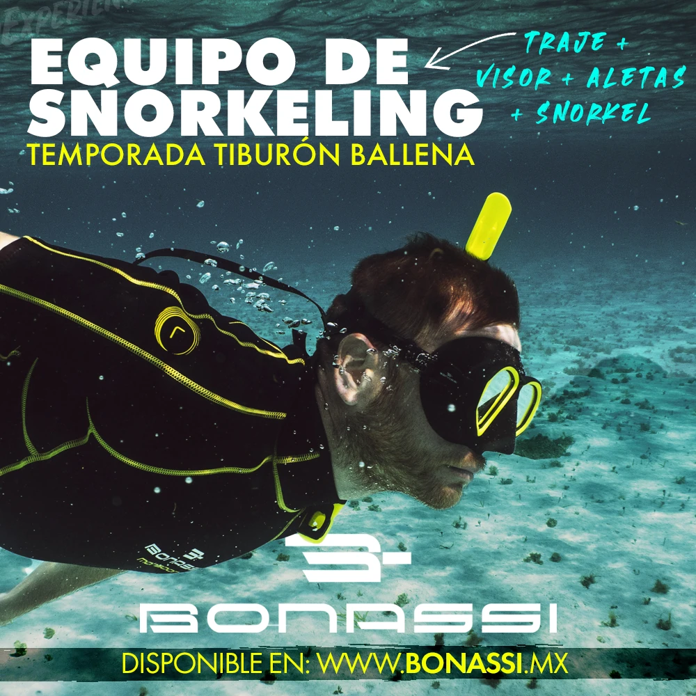 Tiburon-Ballena-Equipo Snorkeling